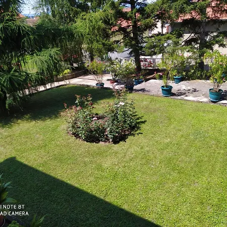 Prenociste Aleksandar *