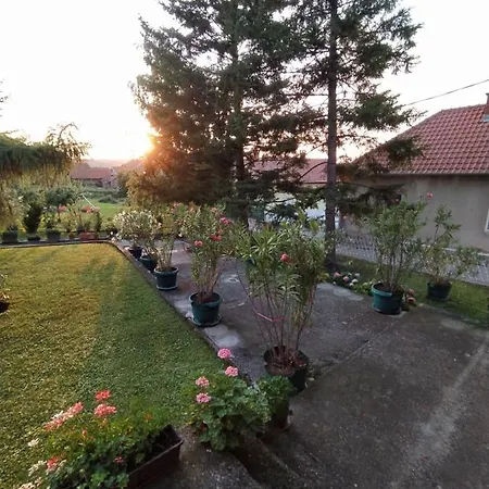 Pensión Prenociste Aleksandar Golubac