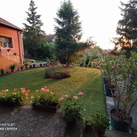 Prenociste Aleksandar Golubac