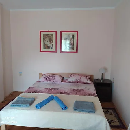 Prenociste Aleksandar Golubac