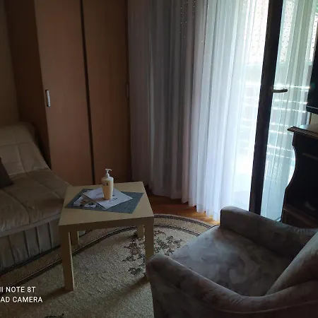 Prenociste Aleksandar Pensión *