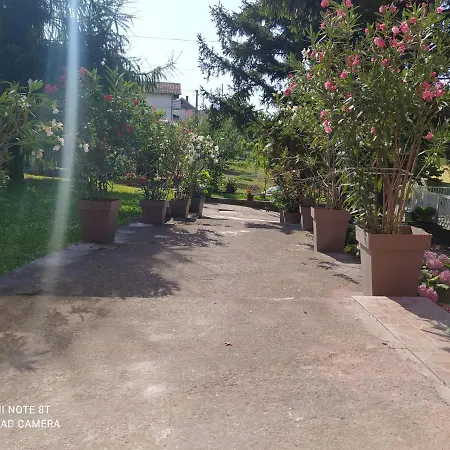 Prenociste Aleksandar Pensión Golubac