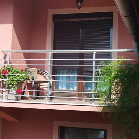 Prenociste Aleksandar Pensión *