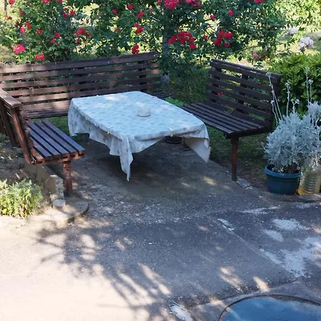 Prenociste Aleksandar *