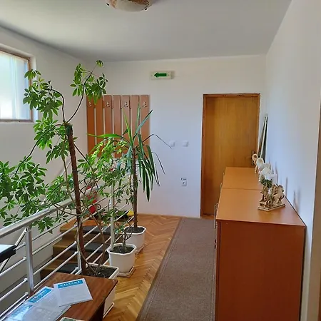 Prenociste Aleksandar * Golubac