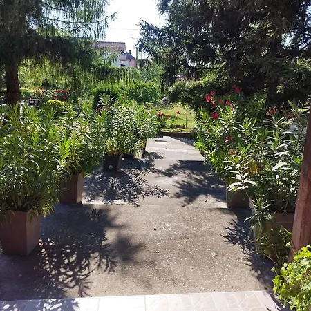 Pensión Prenociste Aleksandar Golubac