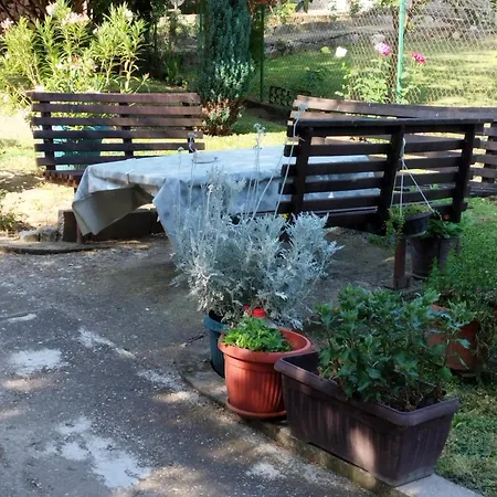 Prenociste Aleksandar *