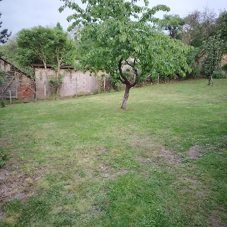 Pensión Prenociste Aleksandar Golubac